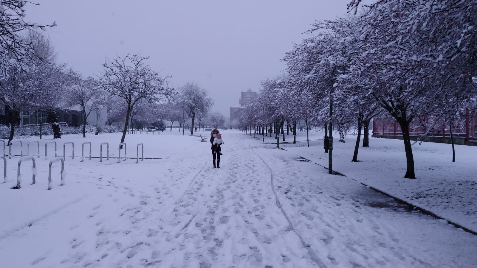 Fotos: La nieve también cubre Gamonal y Fuentecillas