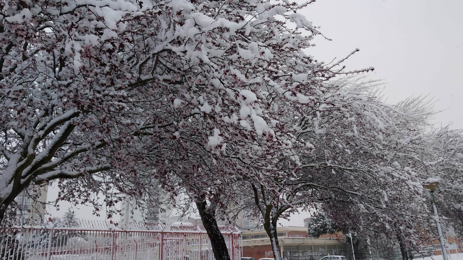Fotos: La nieve también cubre Gamonal y Fuentecillas