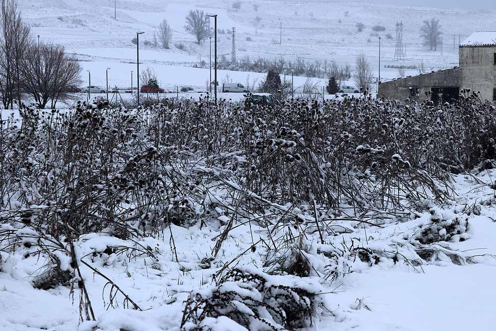 Fotos: La nieve también cubre Gamonal y Fuentecillas