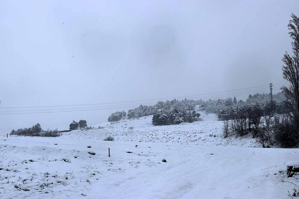 Fotos: La nieve también cubre Gamonal y Fuentecillas
