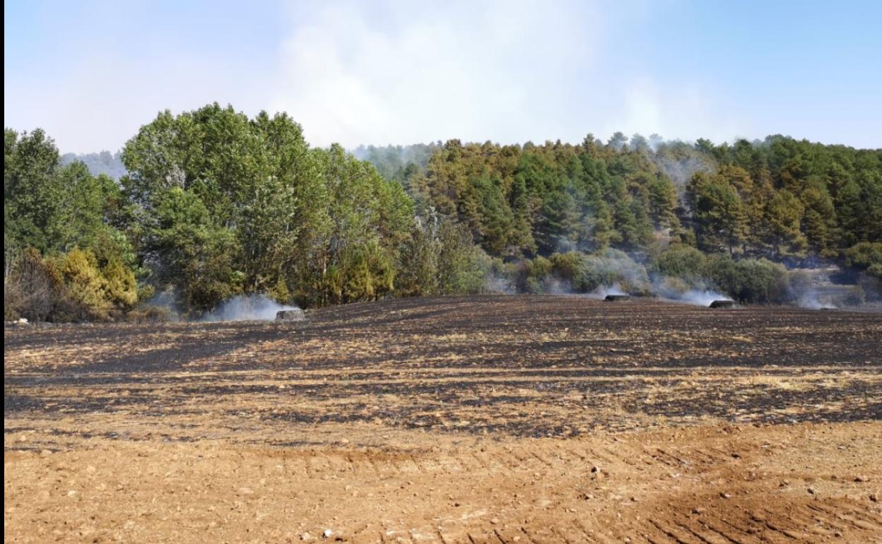 El incendio afectó a zona de arbolado y tierras de cultivo.