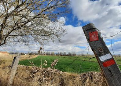 Imagen secundaria 1 - Arriba exposición sobre el Camino del Cid; abajo, a la izquierda, señalización de la ruta y a su derecha, salvoconducto. 