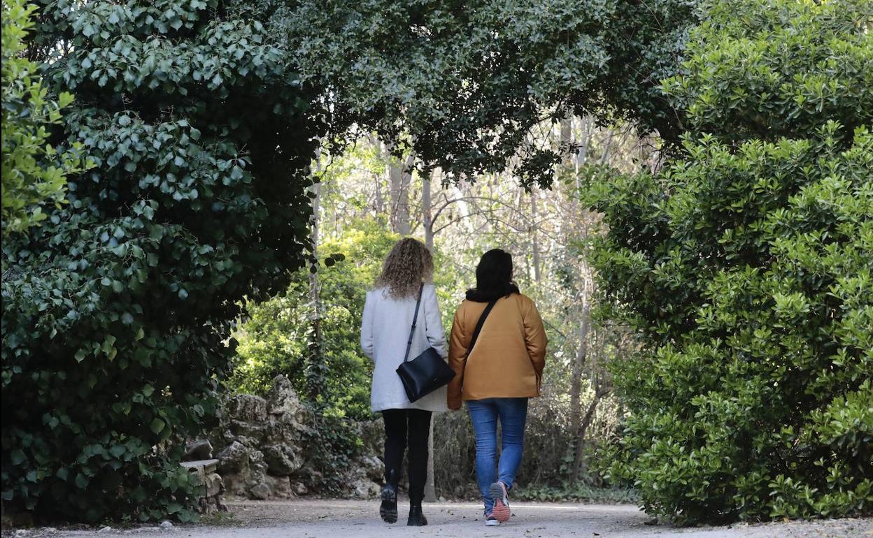 La llegada de la primavera reaviva las alergias entre los burgaleses.