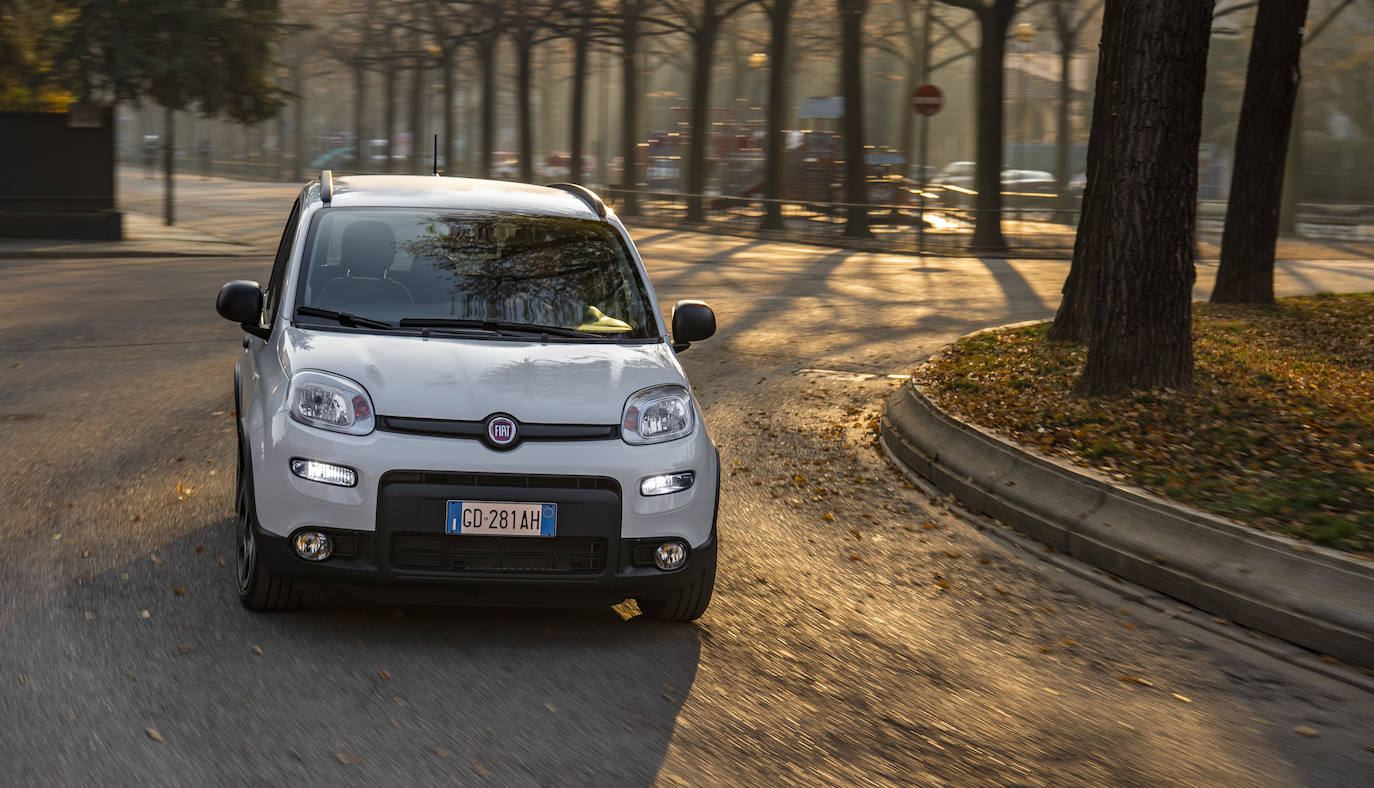 Fotos: Fotogalería: Fiat panda, un cuarentón a la última