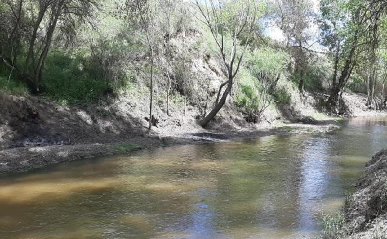 Zona del Adaja en la que se ha actuado. 