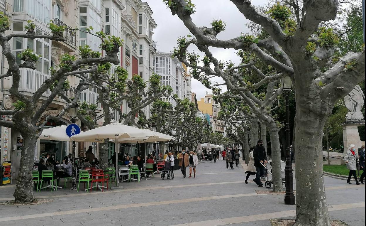 La reactivación de la hostelería y el levantamiento de restricciones han impulsado la contratación en Burgos en mayo.