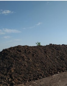 Imagen secundaria 2 - Samuel y Nazareth y diferentes zonas de su granja de lombrices. 