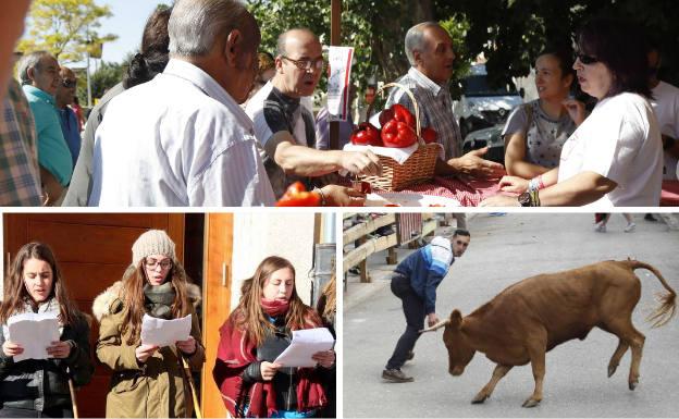 Arriba, Feria del Pimiento de Torquemada. Debajo, los quintos recitan los tradicionales versos y encierros durante las fiestas de San Roque.