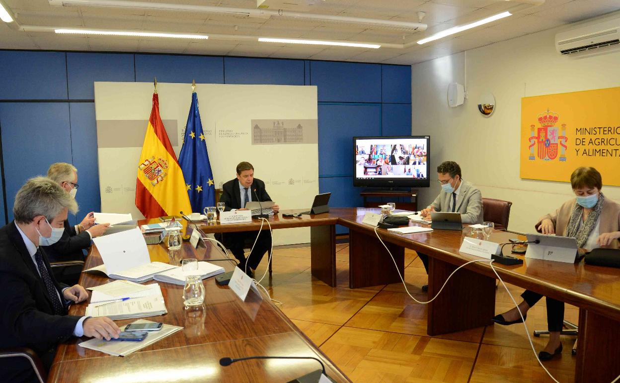 Consejo Consultivo celebrado esta mañana entre el Ministerio y las Comunidades. 