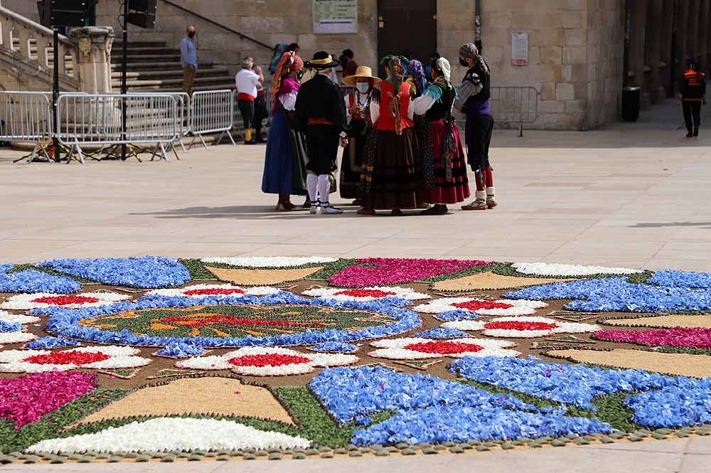 Fotos: La ofrenda floral a Santa María la Mayor en Burgos ha vuelto a la calle