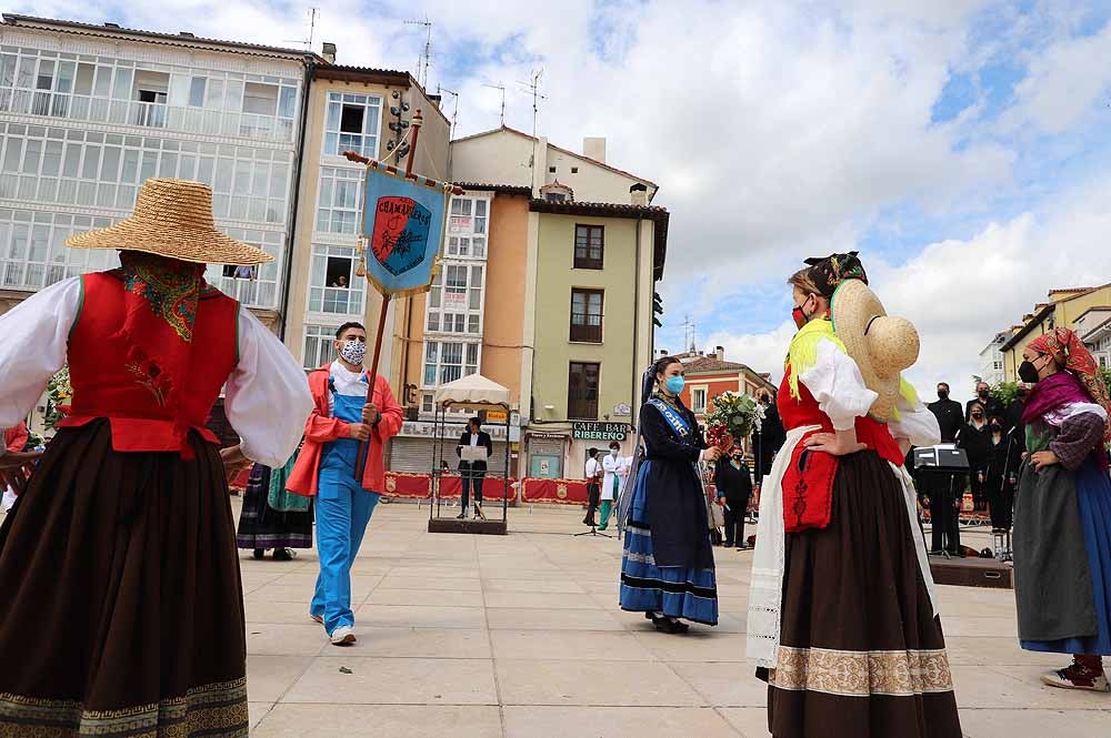 Fotos: La ofrenda floral a Santa María la Mayor en Burgos ha vuelto a la calle