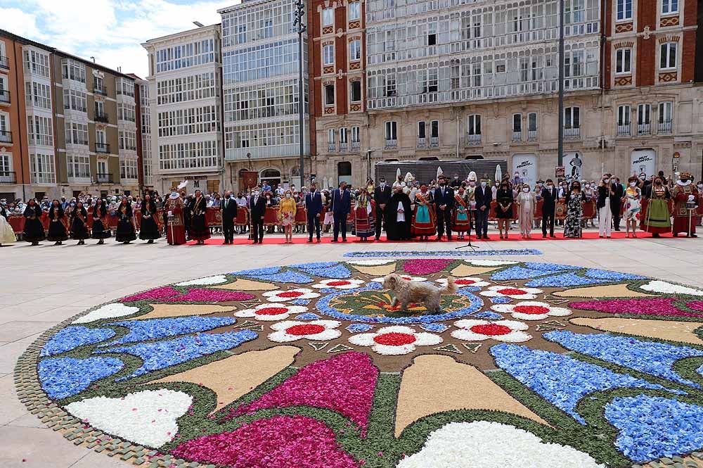 Fotos: La ofrenda floral a Santa María la Mayor en Burgos ha vuelto a la calle