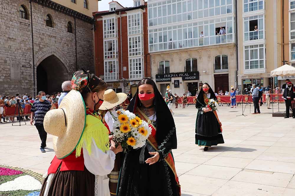 Fotos: La ofrenda floral a Santa María la Mayor en Burgos ha vuelto a la calle