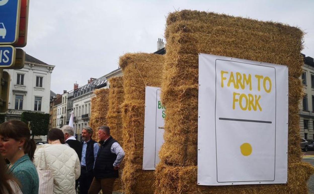 Asociaciones agrarias de toda Europa pidieron el pasado viernes en Bruselas una PAC duradera.