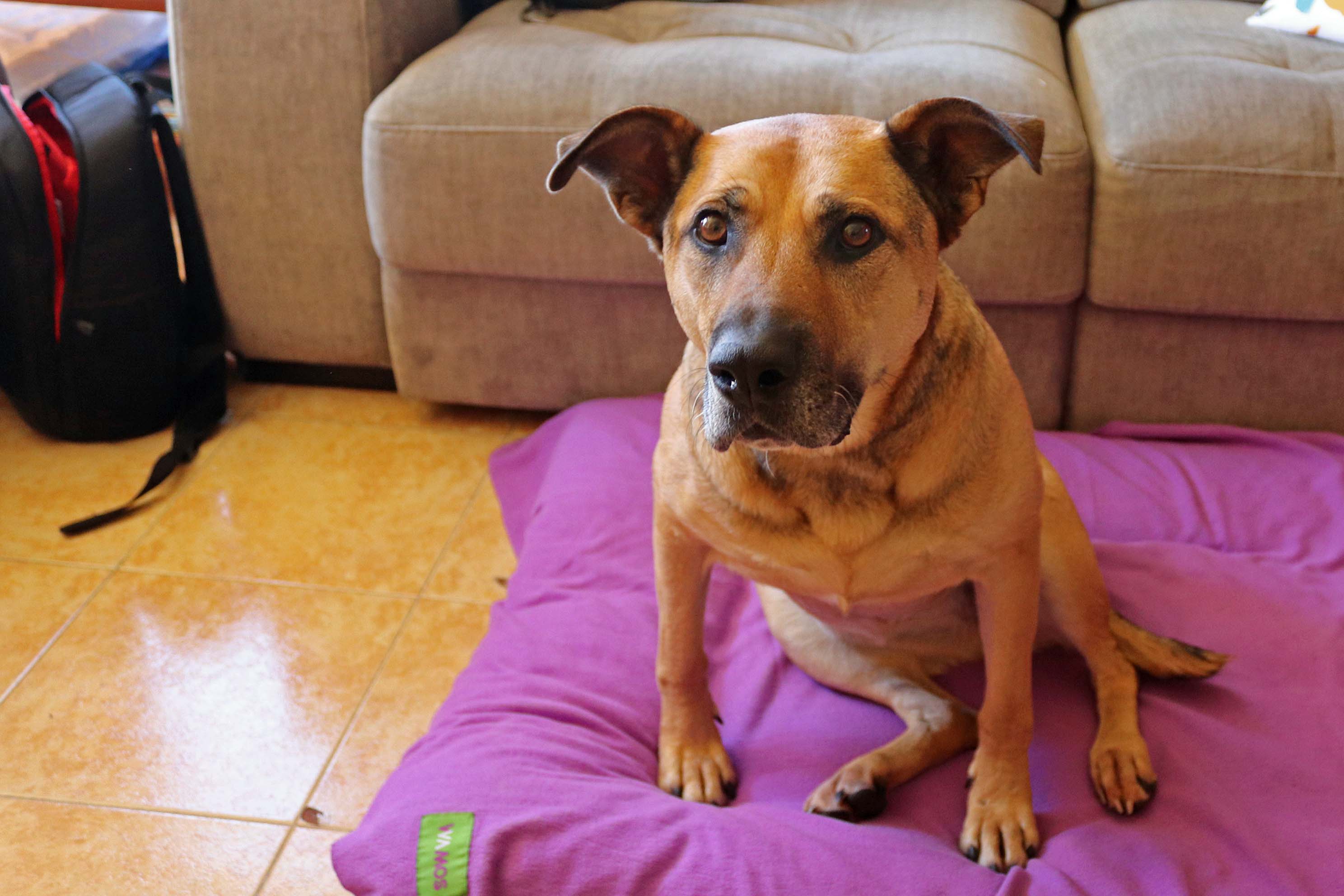 Maya arrastró su cama hasta la habitación de Marce. Ella decidió dormir tener ahí su espacio. 