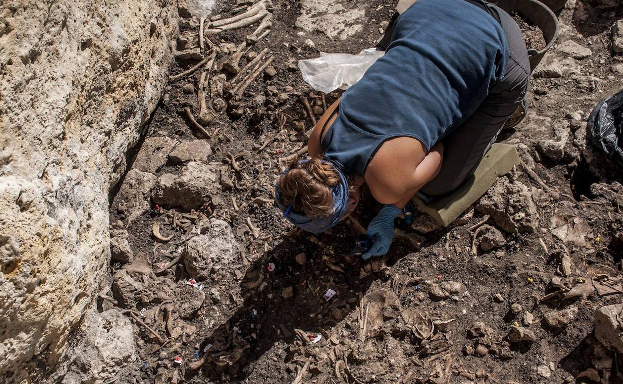 Excavación arqueológica. 