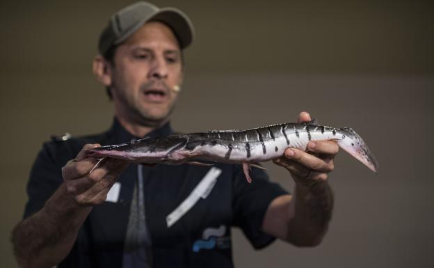 El chef peruano Pedro Miguel Schiaffino 