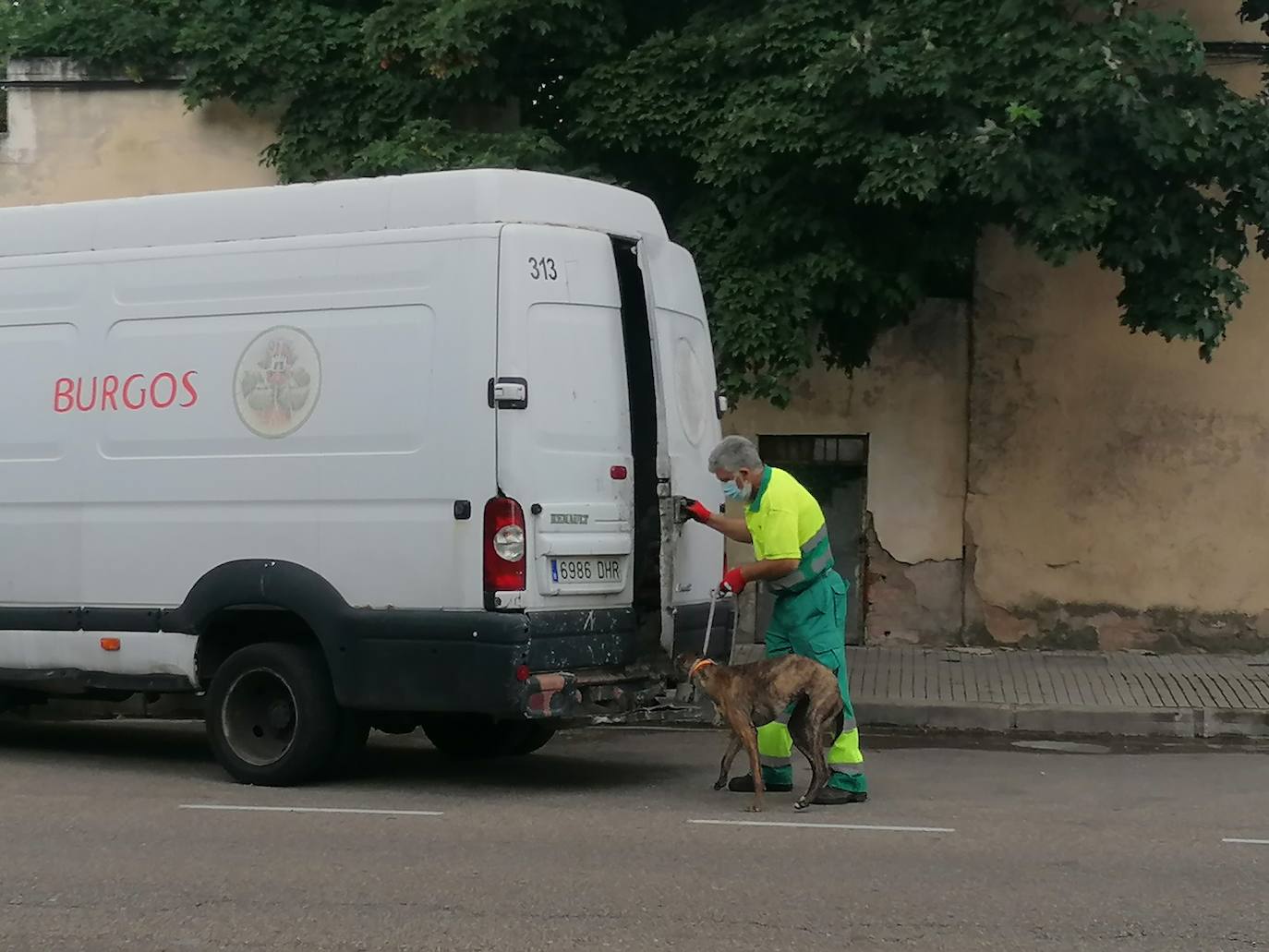 Fotos: El incendio en un solar permite descubrir droga y salvar a varios galgos enjaulados