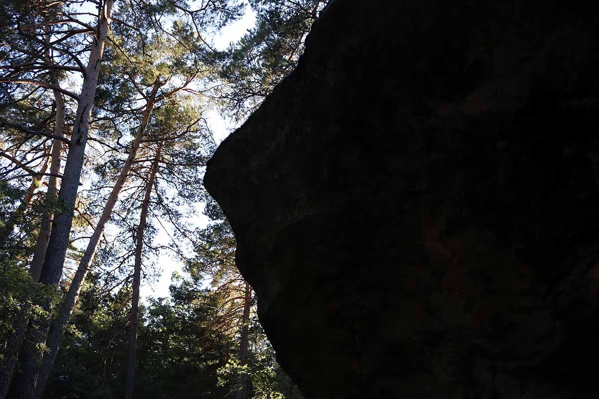 Fotos: Protección para el vestigio de la vida solitaria de Quintanar de la Sierra