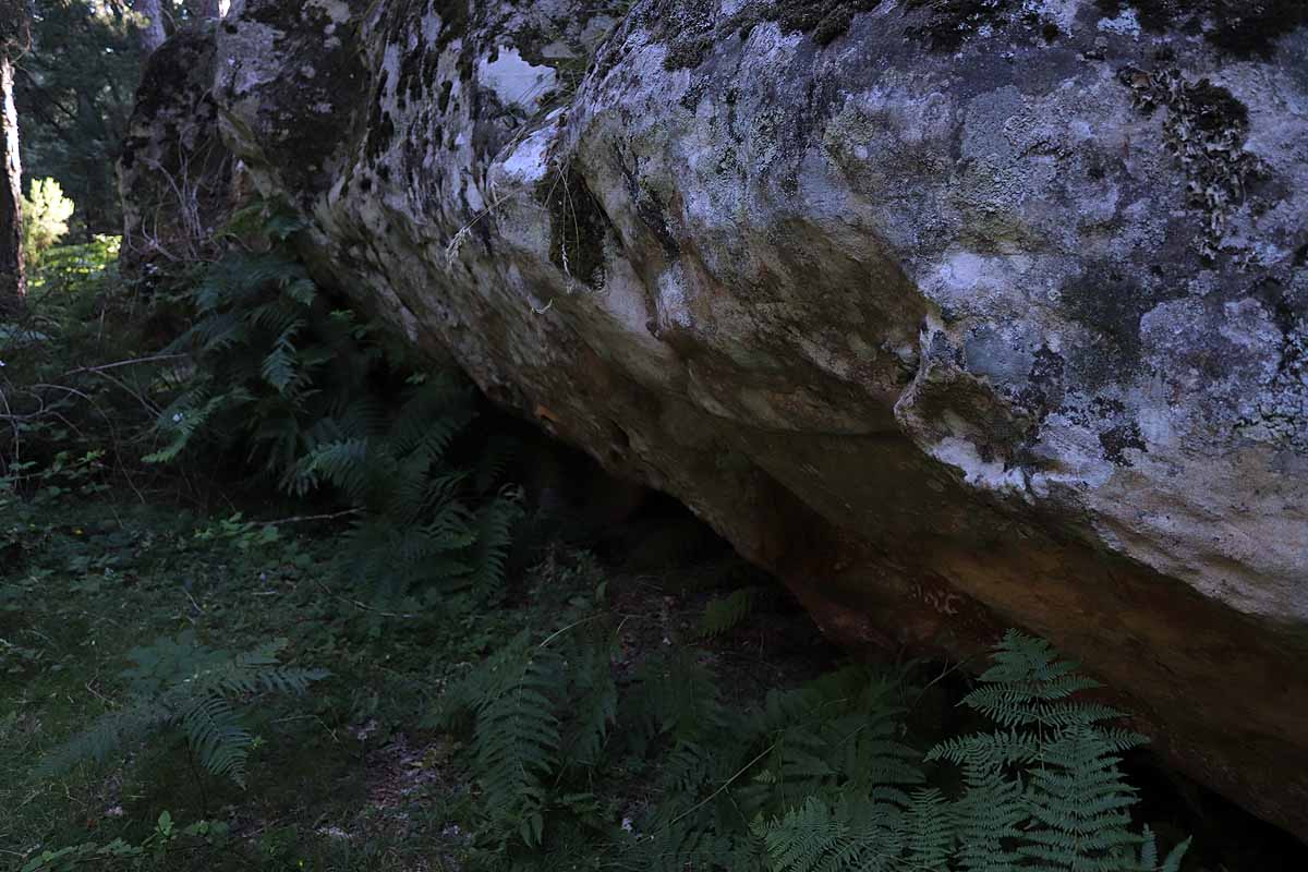 Fotos: Protección para el vestigio de la vida solitaria de Quintanar de la Sierra