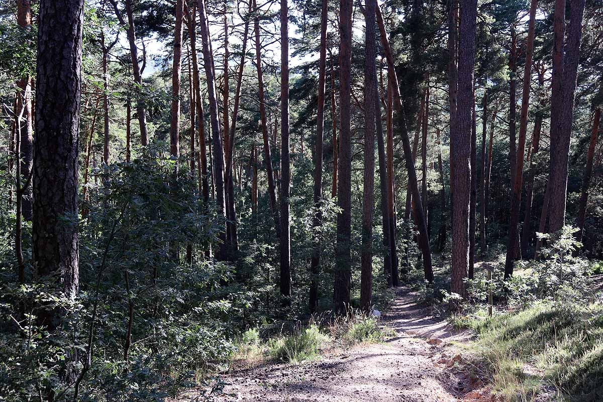 Fotos: Protección para el vestigio de la vida solitaria de Quintanar de la Sierra