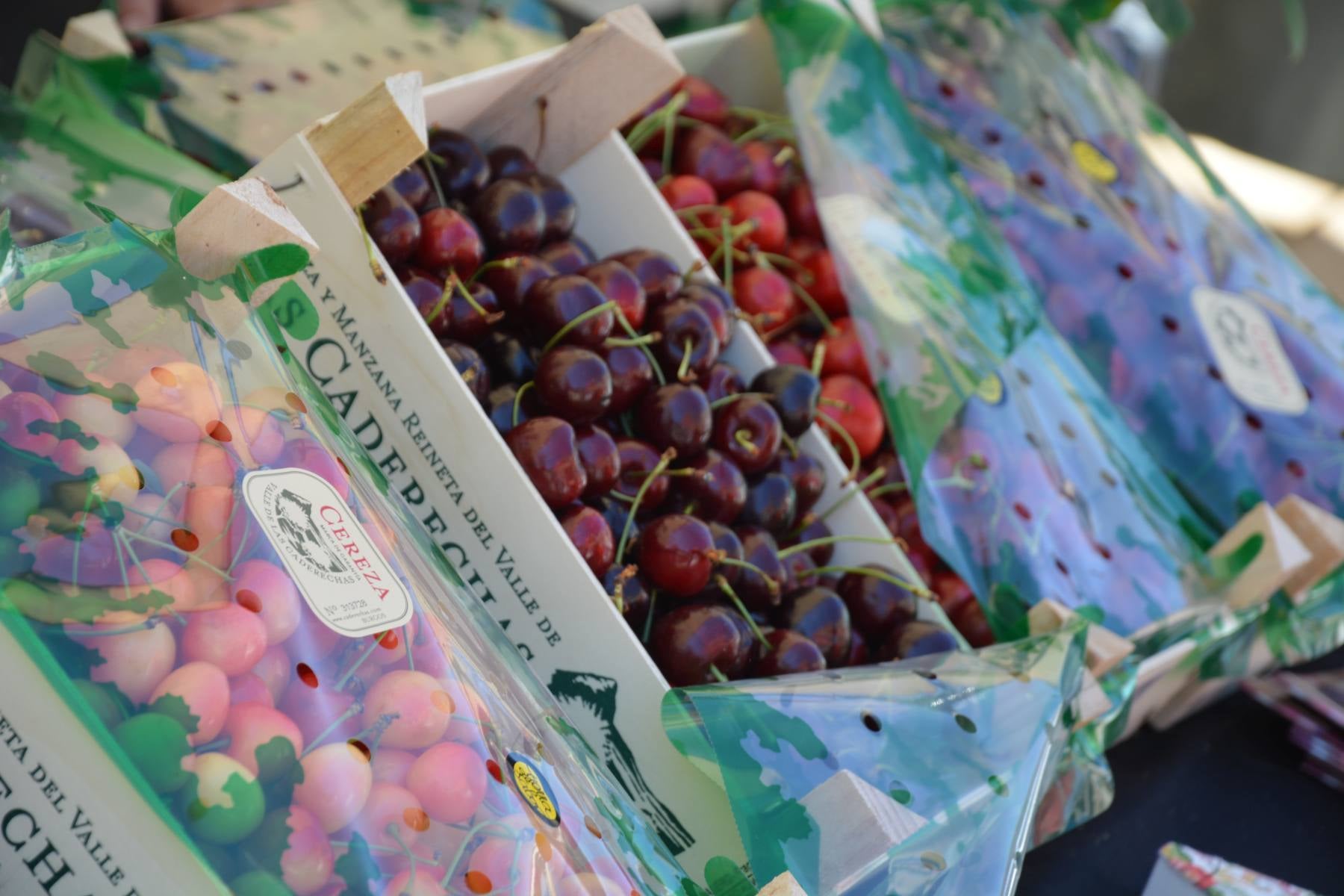 Fotos: Feria Días de Cerezas
