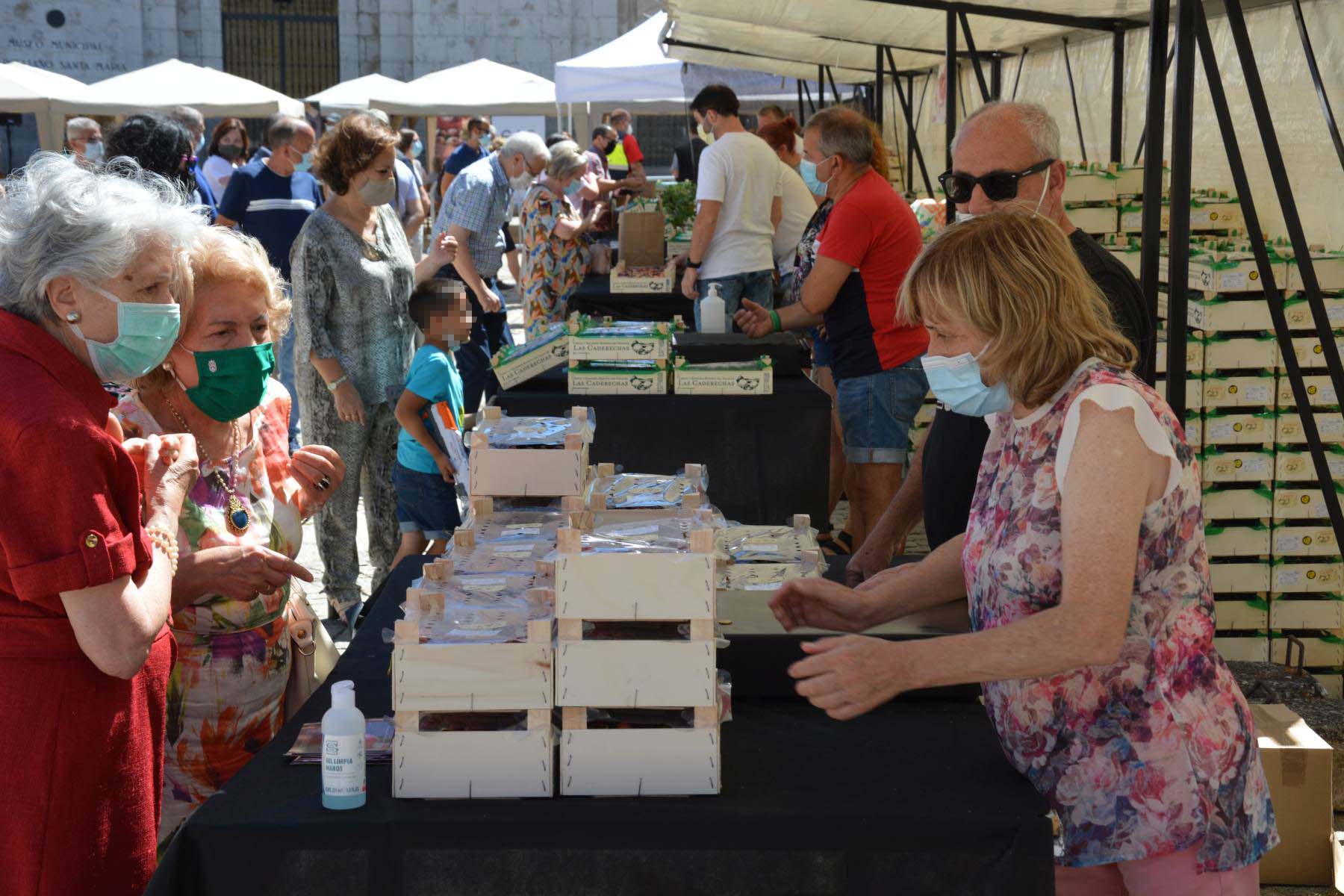 Fotos: Feria Días de Cerezas