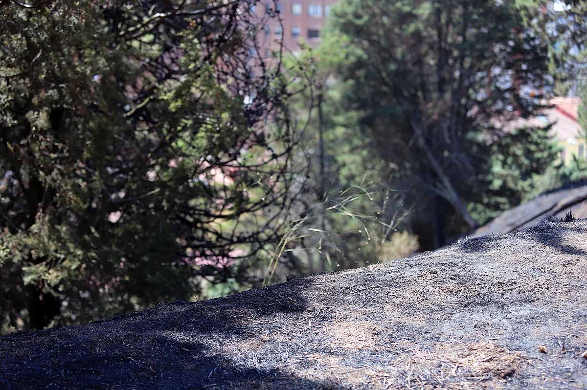 Fotos: Las consecuencias del fuego en el entorno del Castillo de Burgos