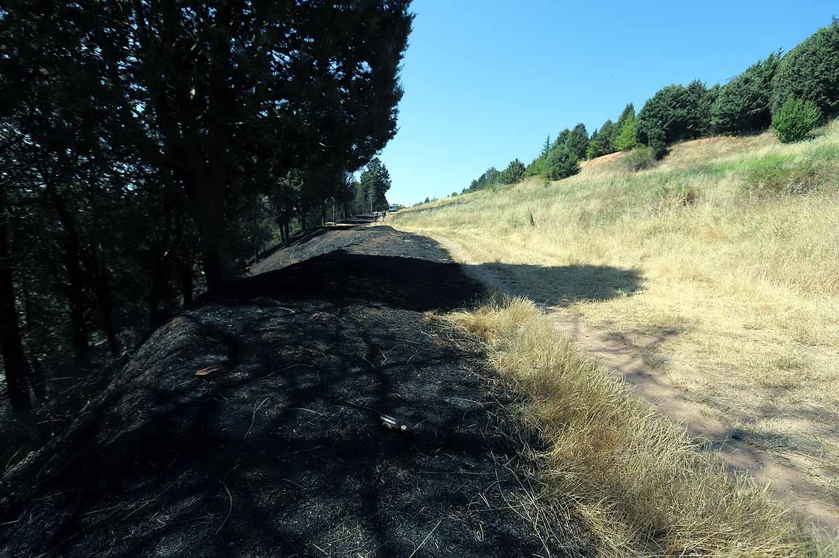 Fotos: Las consecuencias del fuego en el entorno del Castillo de Burgos