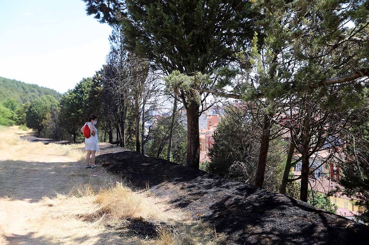 Fotos: Las consecuencias del fuego en el entorno del Castillo de Burgos