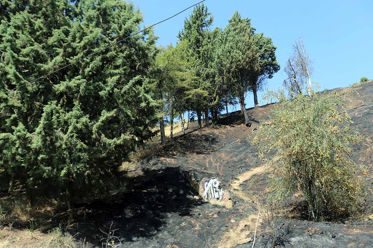 Fotos: Las consecuencias del fuego en el entorno del Castillo de Burgos