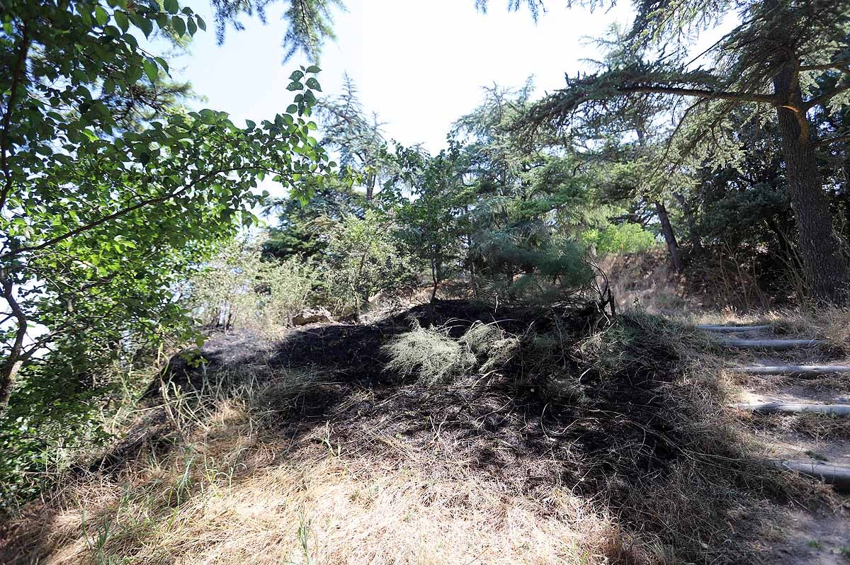 Fotos: Las consecuencias del fuego en el entorno del Castillo de Burgos