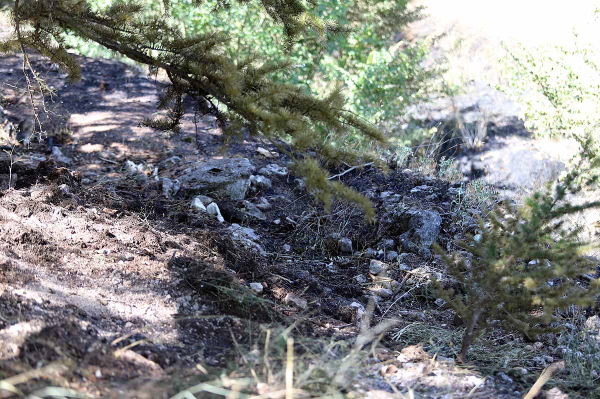 Fotos: Las consecuencias del fuego en el entorno del Castillo de Burgos