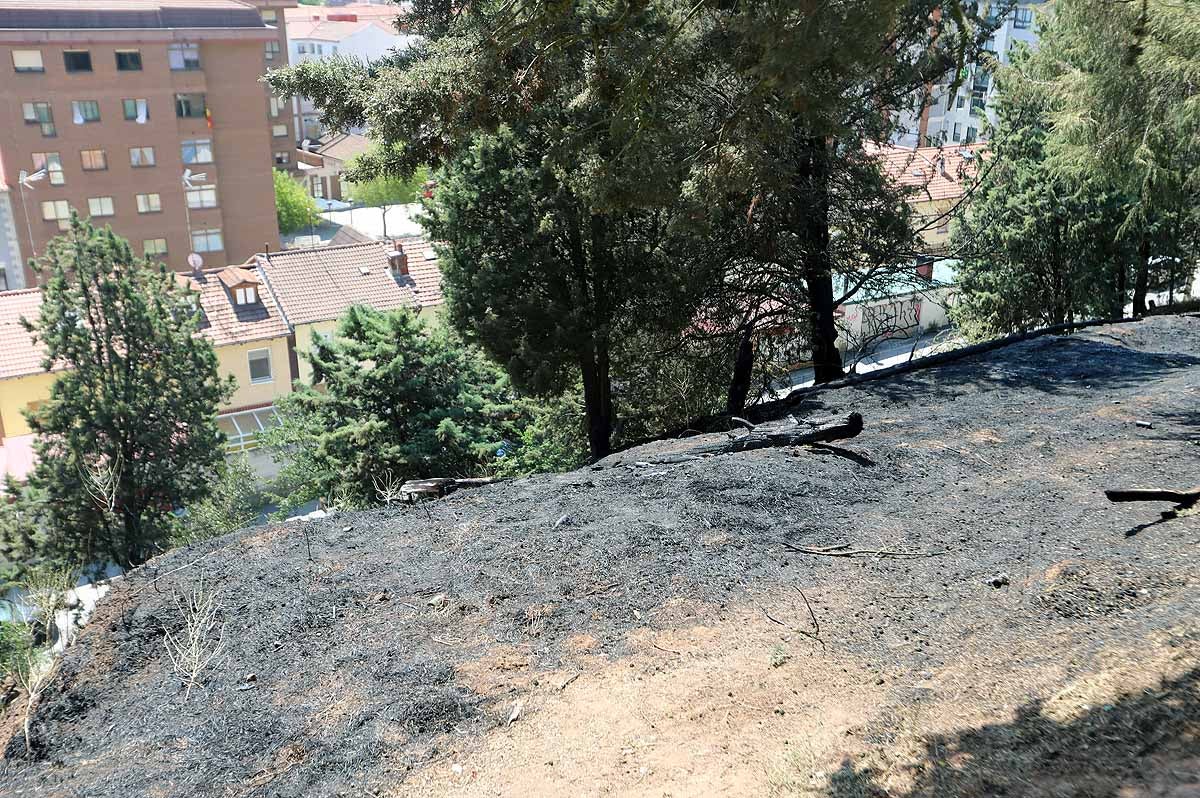 Fotos: Las consecuencias del fuego en el entorno del Castillo de Burgos