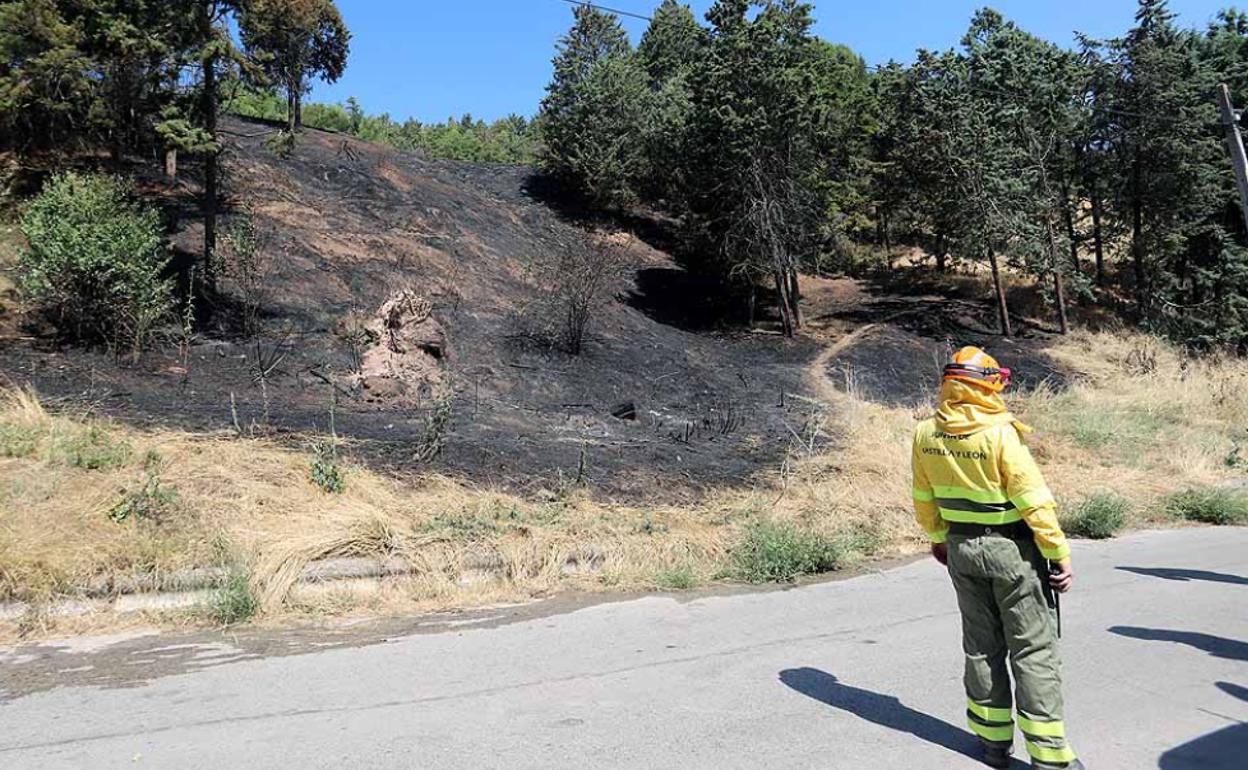 Personal del Servicio de Extinción de Incendios en el fuego de la ladera del castillo de Burgos. 