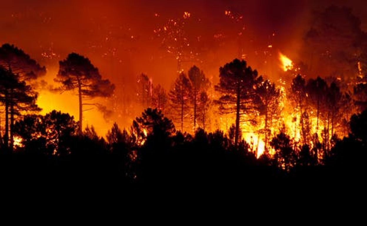 Imagen nocturna de un incendio en la provincia española de Guadalajara 