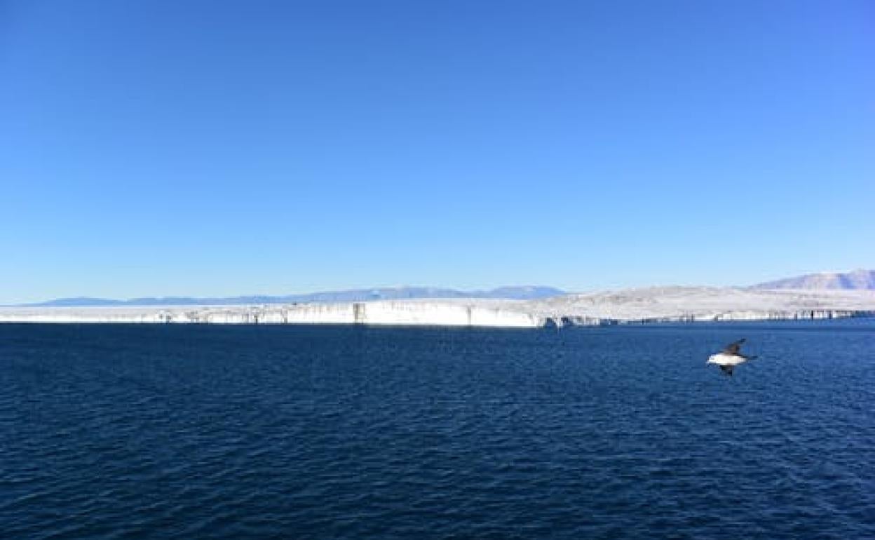 ¿Podría el deshielo de los glaciares ayudarnos a mitigar el cambio climático?