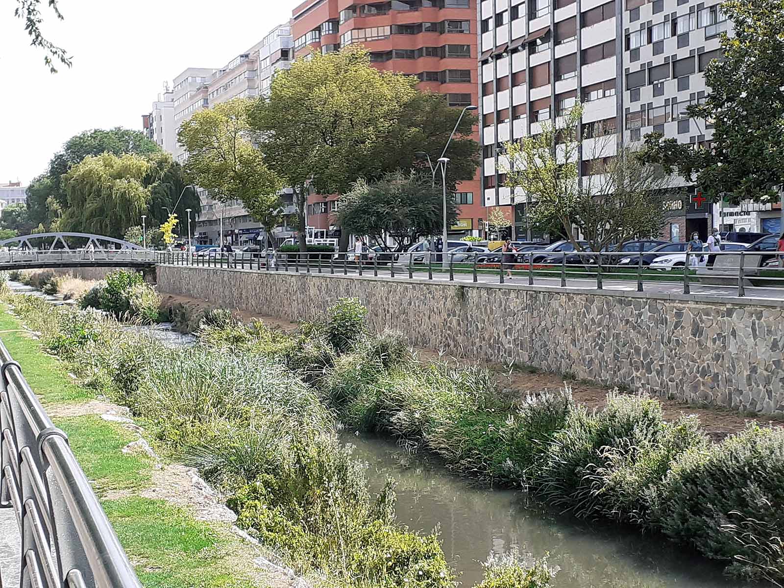 Los más pequeños se han protegido con gorras del intenso calor que hacía en la ciudad.