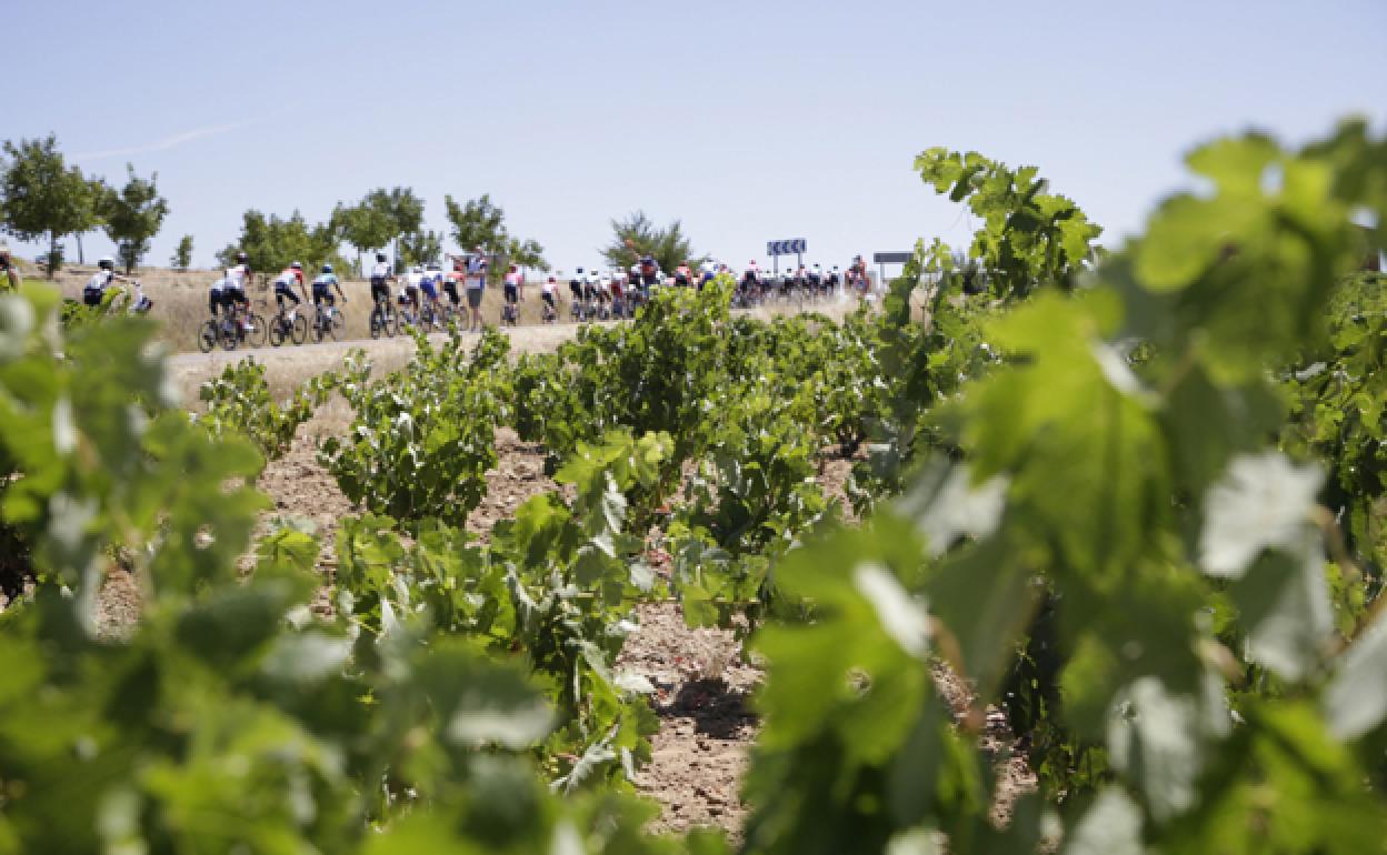 La Vuelta, a su paso por la provincia burgalesa. 