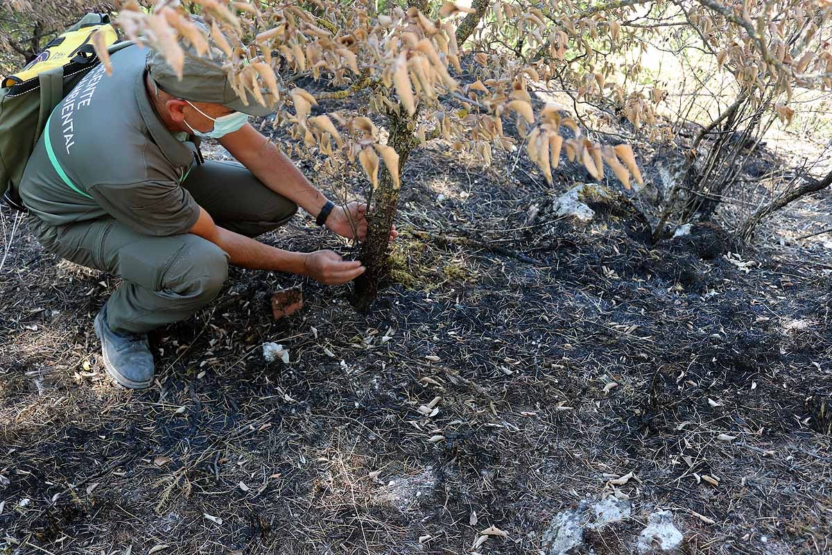 Hernáiz sigue las pistas que el fuego deja. 