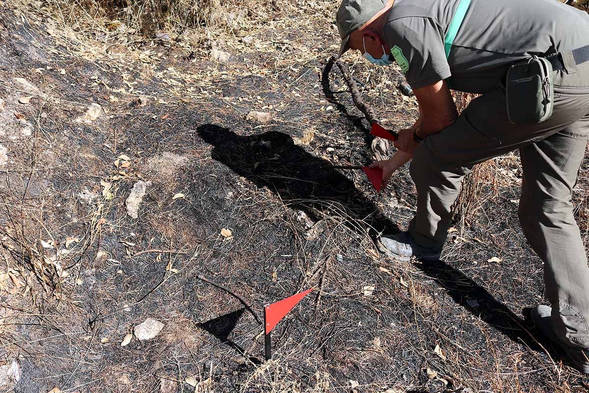 Los banderines indican evidencias y la dirección del fuego. 