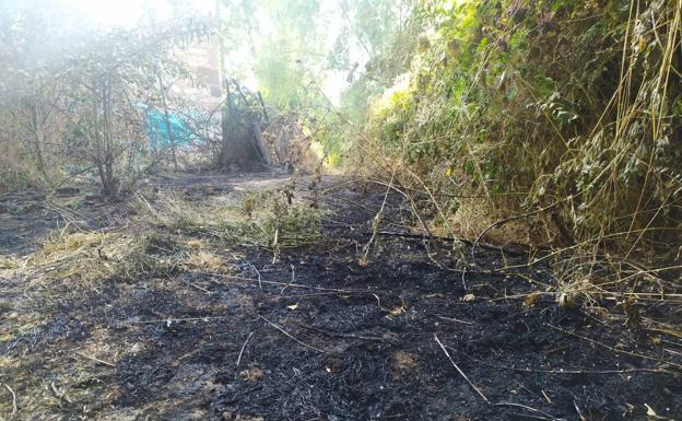 El incendio junto al polideportivo Carlos Serna ha arrasado con una zona de pasto y maleza.