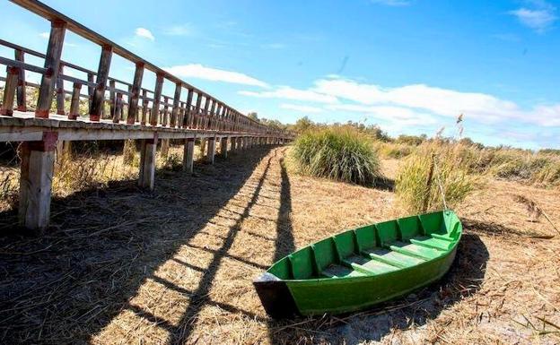 Las Tablas de Daimiel 