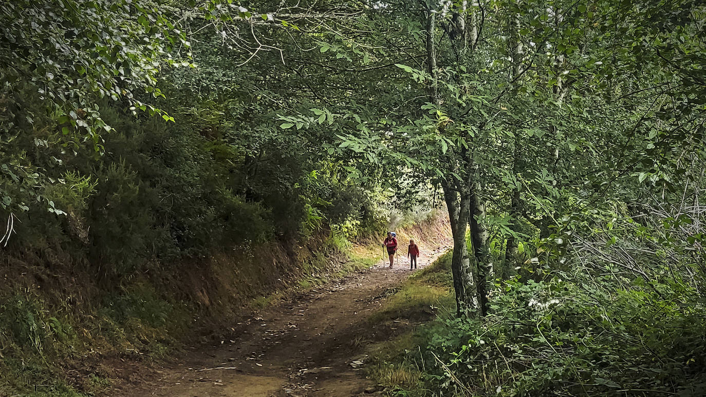 Por algo lo llaman la etapa reina del Camino francés. Dos horas de subida exigente, y eso a buen paso, hasta llegar a Galicia, por caminos umbríos y pastizales atlánticos.