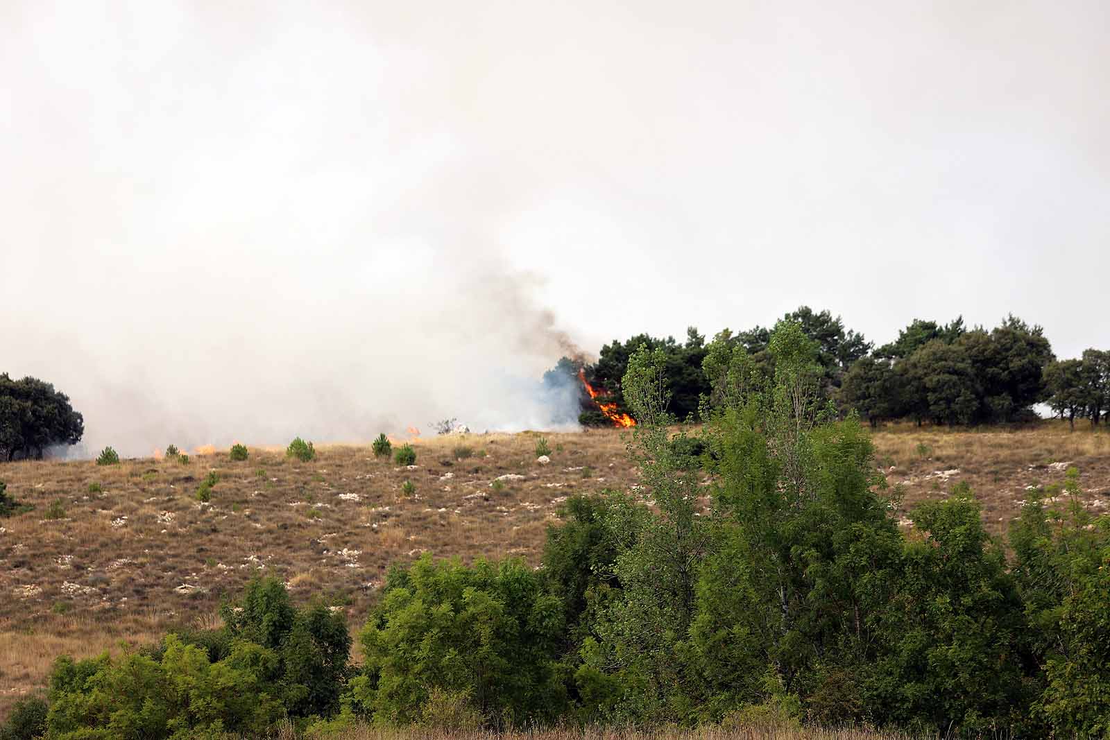 Un gran operativo trabaja desde primera hora de la tarde en incendio declarado en Masa.