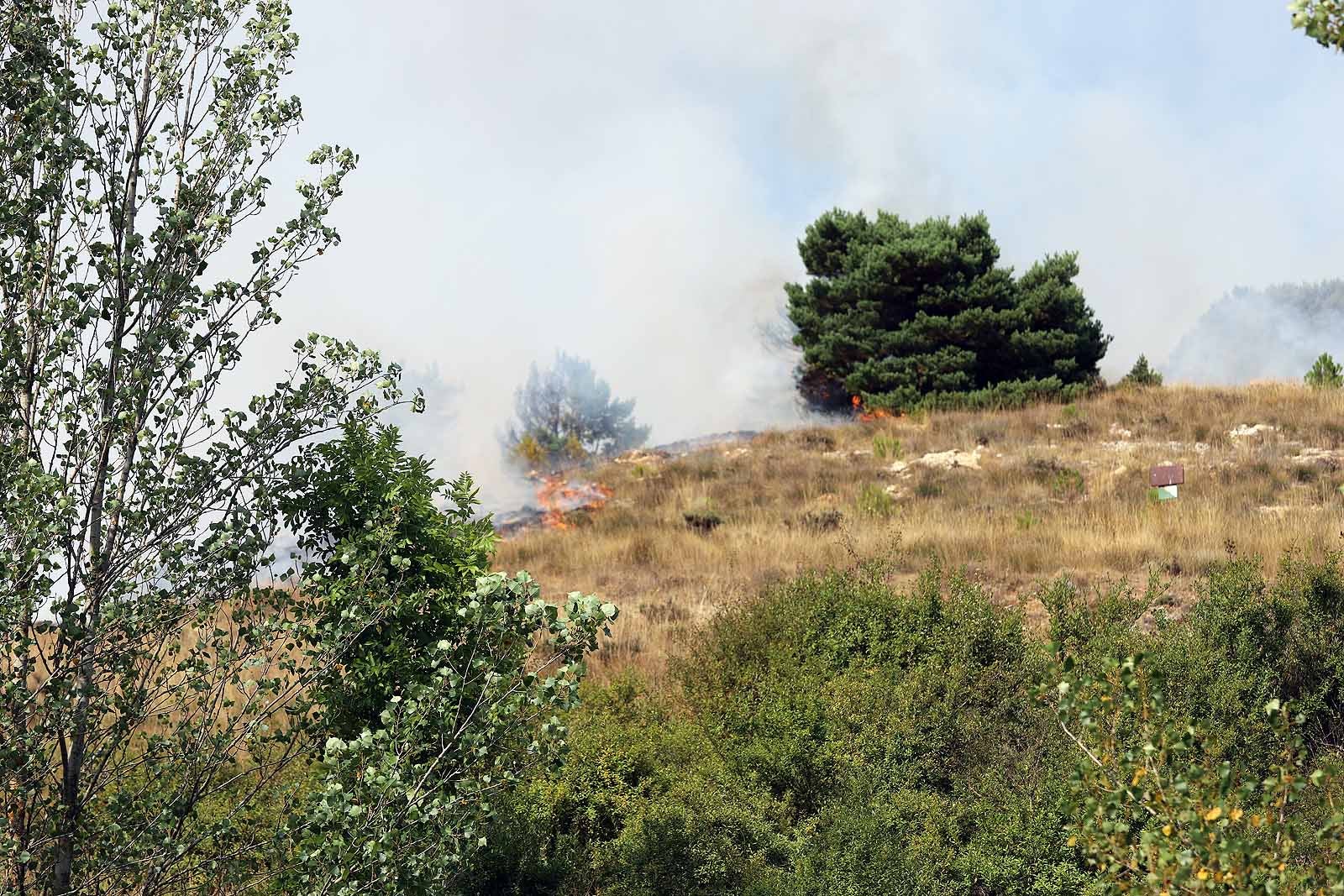 Un gran operativo trabaja desde primera hora de la tarde en incendio declarado en Masa.