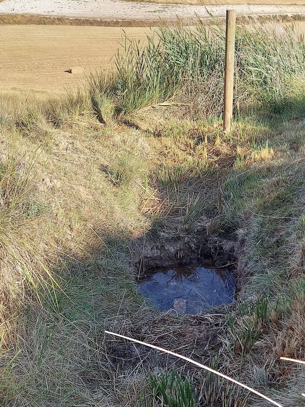 Fotos: Palazuelos de Muñó recupera sus fuentes naturales y pozos tradicionales