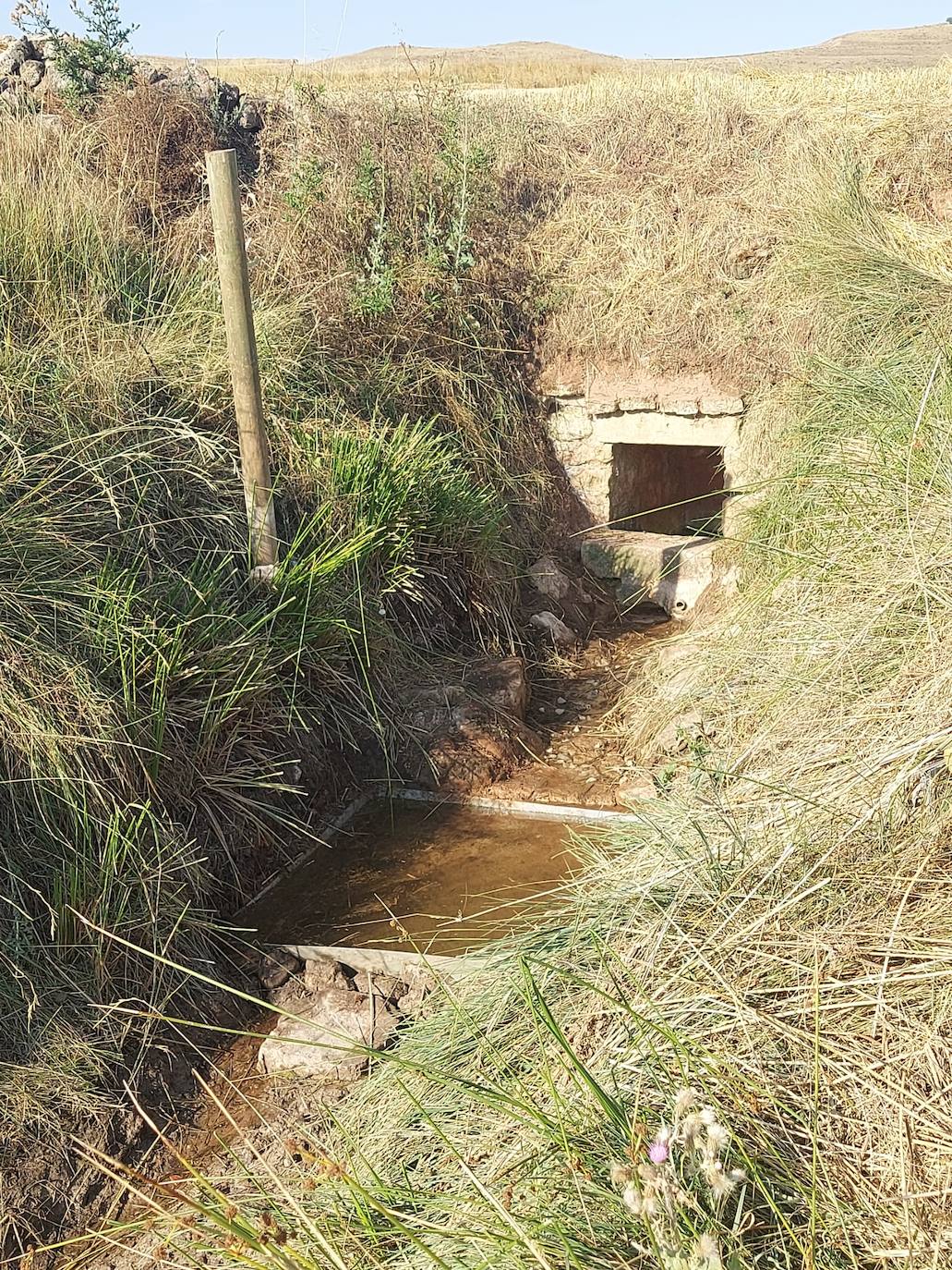 Fotos: Palazuelos de Muñó recupera sus fuentes naturales y pozos tradicionales