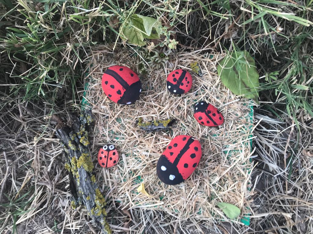 Fotos: &#039;PetreArte&#039;, pintura sobre piedras en Palazuelos de Muñó