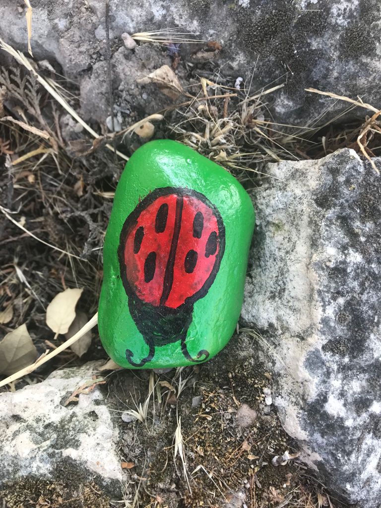 Fotos: &#039;PetreArte&#039;, pintura sobre piedras en Palazuelos de Muñó